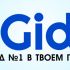 Создание логотипа iGid - дизайнер kuchupen