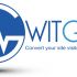 Witget.com - элементы брендирования Витжетов - дизайнер tnikandrov