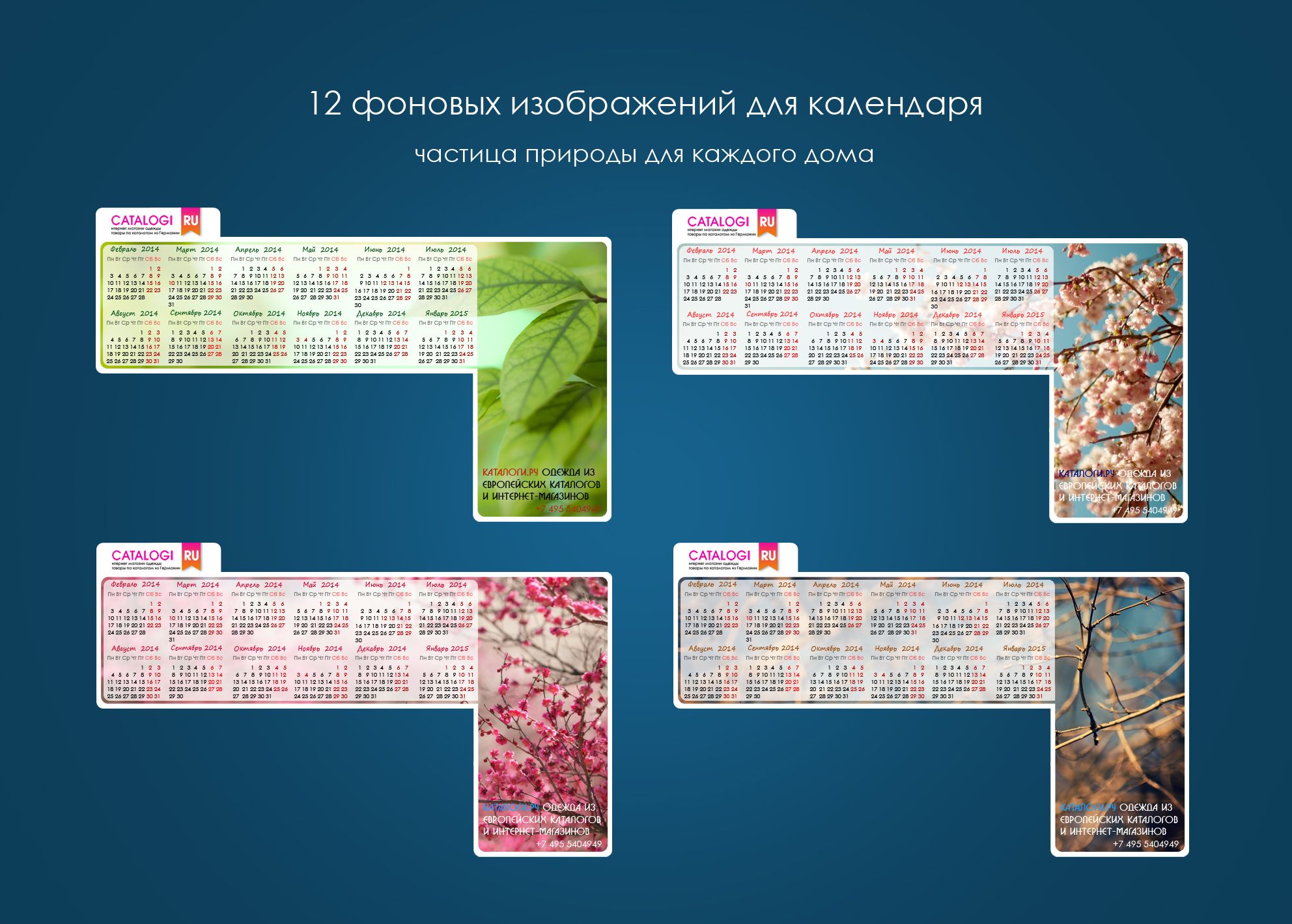 Календарик на монитор Catalogi.ru - дизайнер Erzh2n