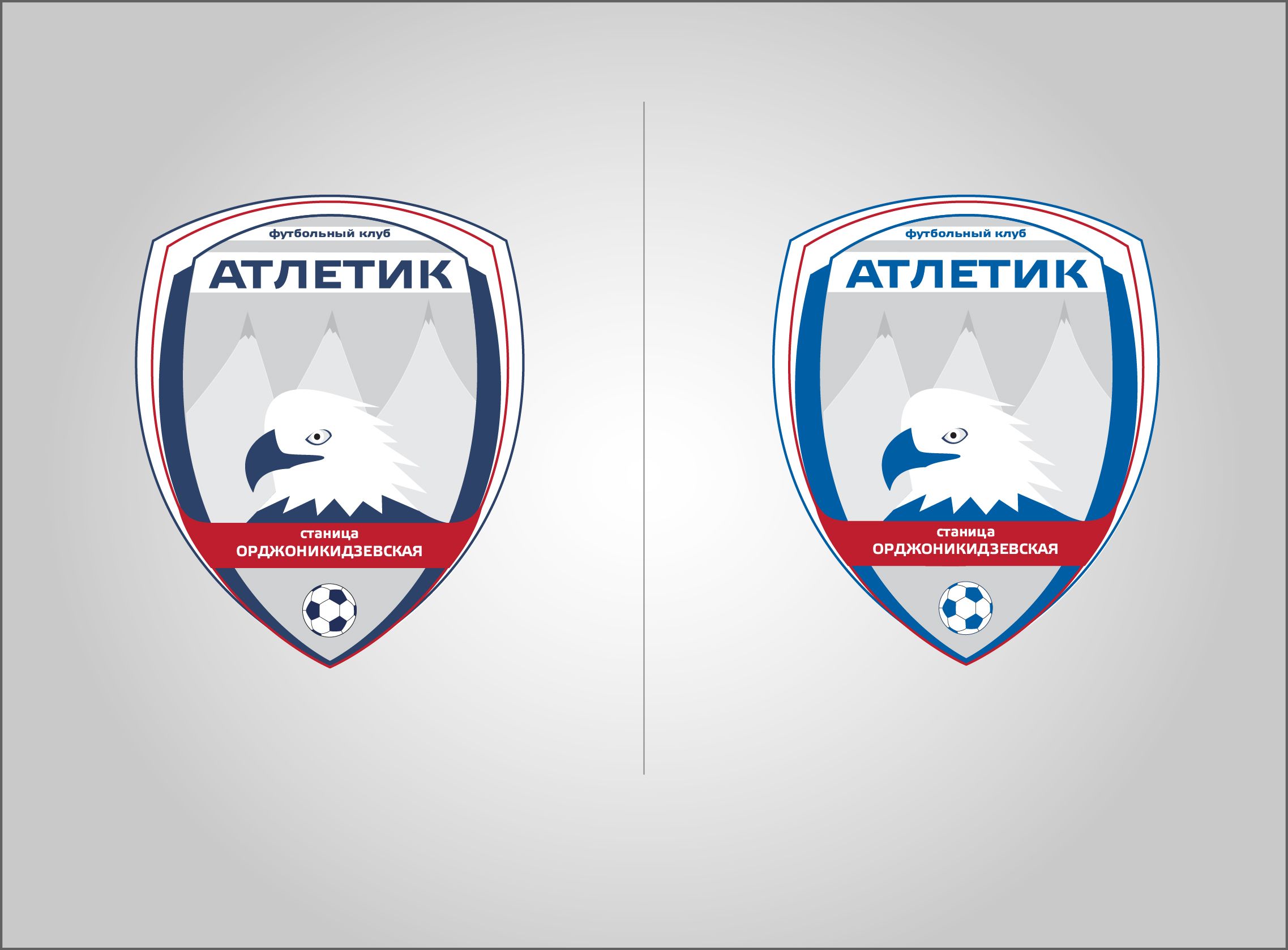 Логотип для Футбольного клуба  - дизайнер cg_daniel