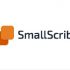 Лого, визитка и шаблон презентации для SmartScribe - дизайнер shakurov
