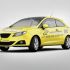 Фирменный стиль (лого есть) для Такси «Цель» - дизайнер lestar65