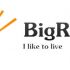 логотип для BigRolls - дизайнер Anna_Write