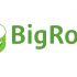 логотип для BigRolls - дизайнер IAmSunny