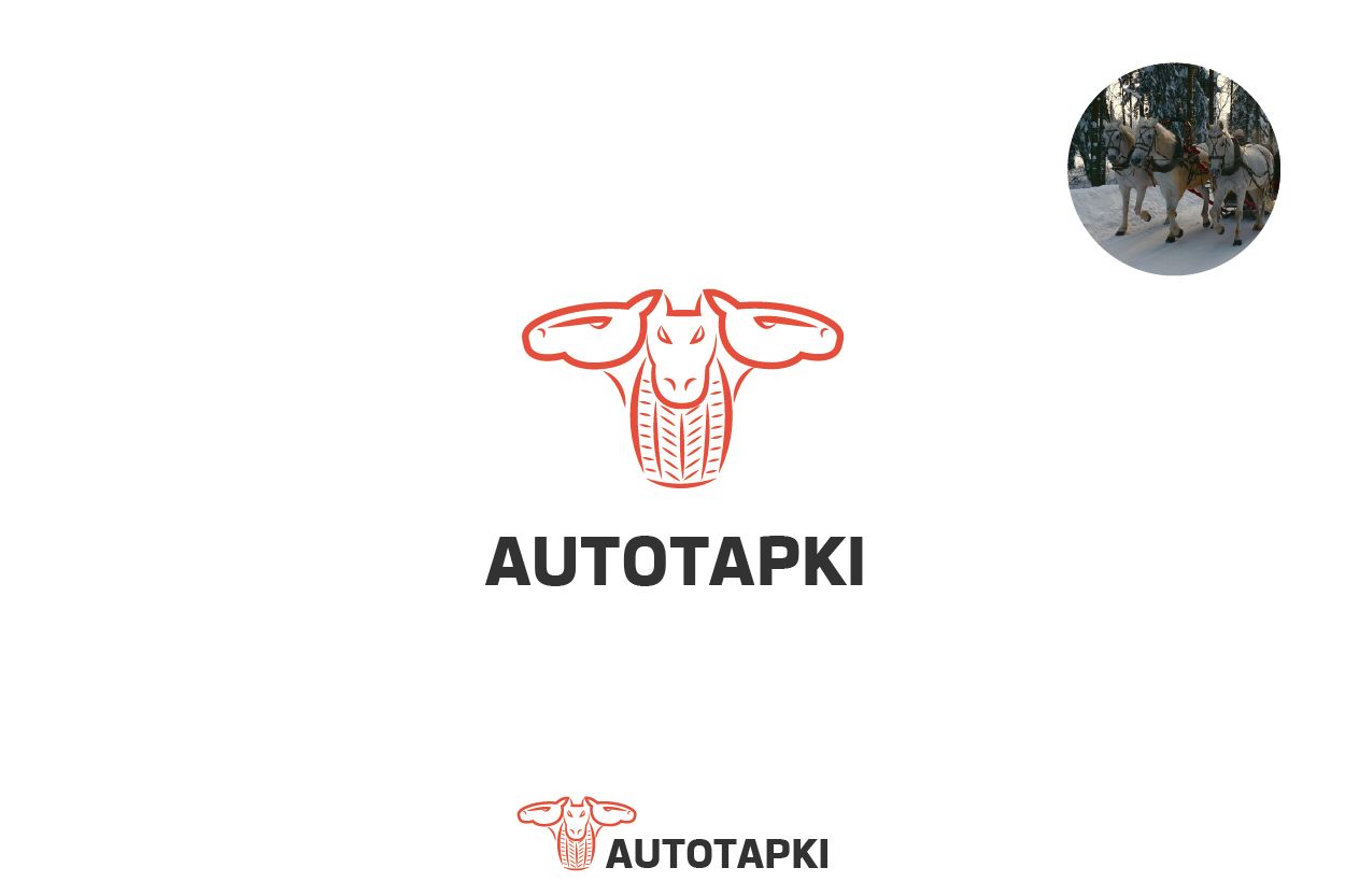Логотип для магазина авто и мото шин и дисков - дизайнер zet333