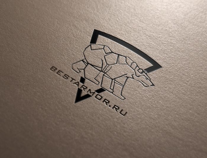 Логотип для интернет-магазина спортивной одежды - дизайнер LLight