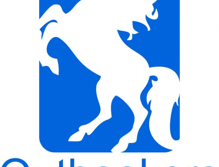 Образ лошади в логотипе (спортивная аналитика) - дизайнер LiXoOnshade