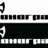 Лого и ФС для магазина аудиотехники - дизайнер scratcherz