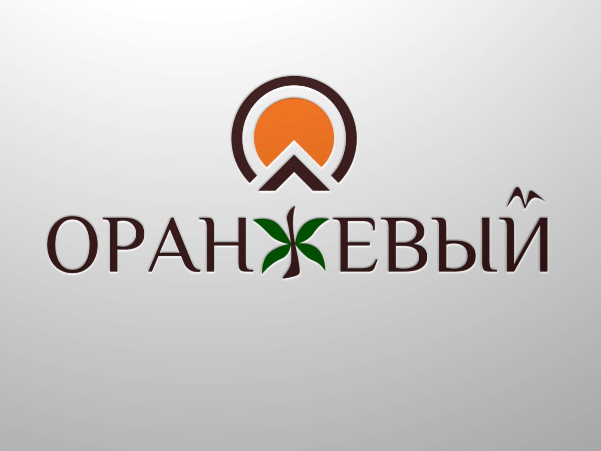 Логотип Финансовой Организации - дизайнер virtjob