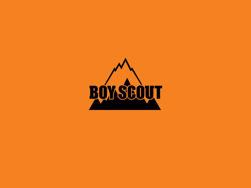 Логотип для сайта интернет-магазина BOY SCOUT - дизайнер vision