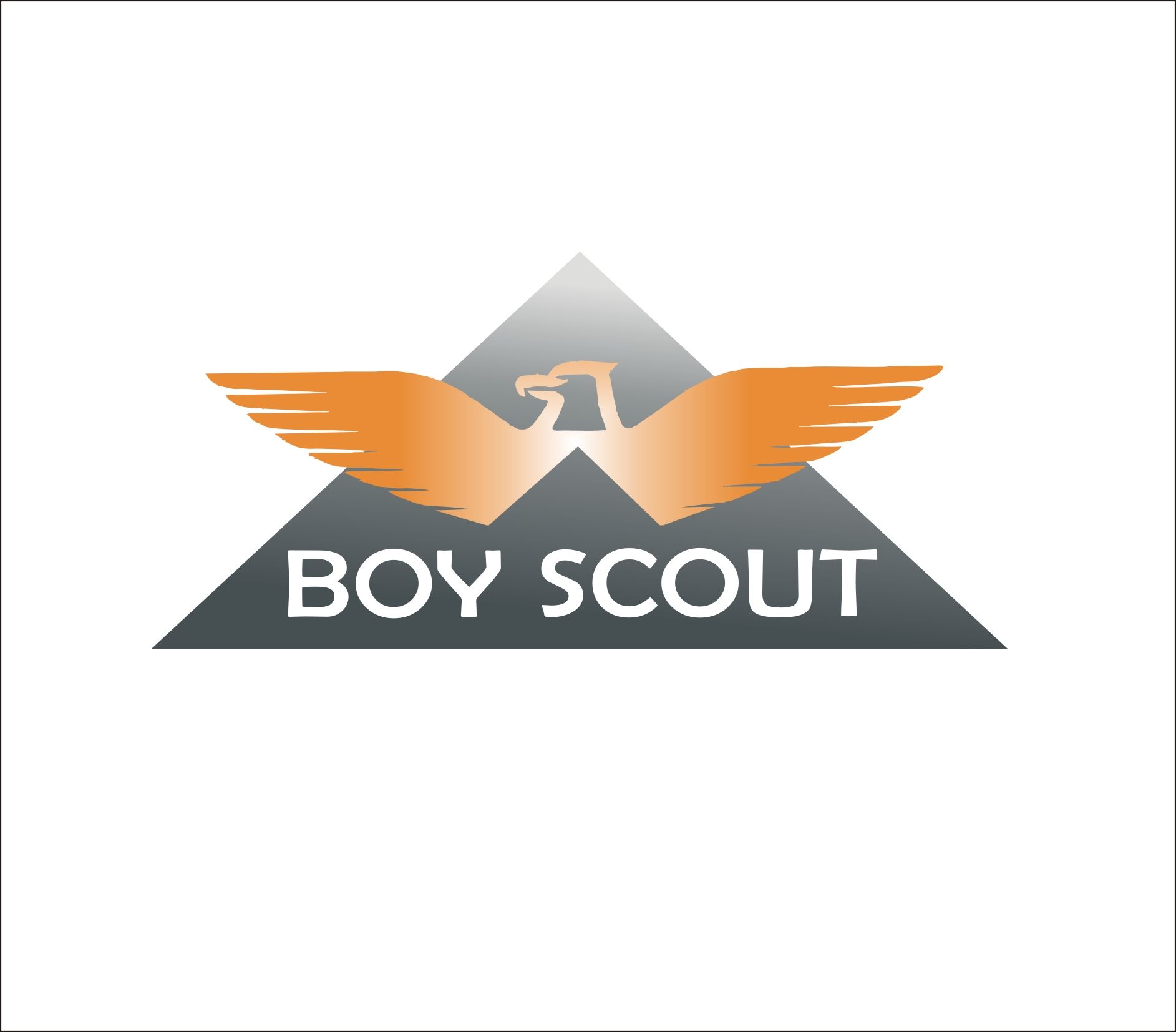 Логотип для сайта интернет-магазина BOY SCOUT - дизайнер samneu