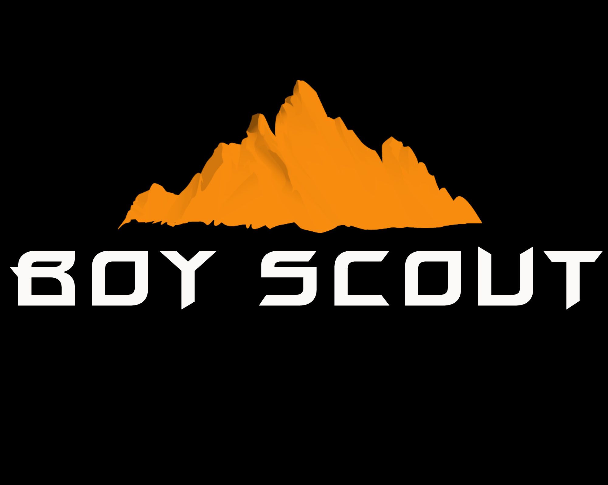 Логотип для сайта интернет-магазина BOY SCOUT - дизайнер 140984VV