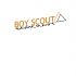 Логотип для сайта интернет-магазина BOY SCOUT - дизайнер Oldish