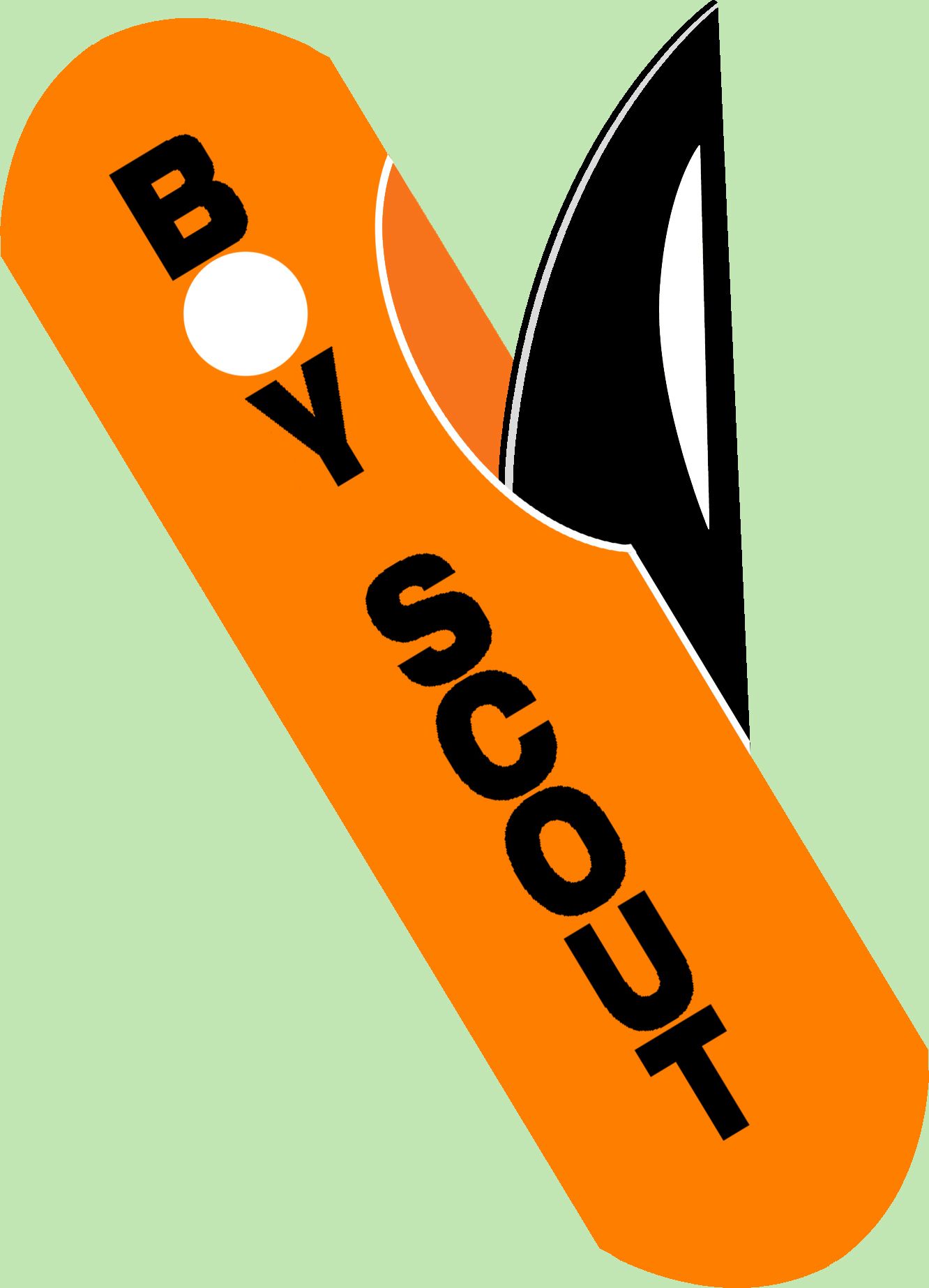 Логотип для сайта интернет-магазина BOY SCOUT - дизайнер Smorgreek