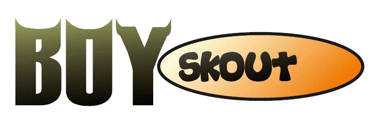 Логотип для сайта интернет-магазина BOY SCOUT - дизайнер Rubelli