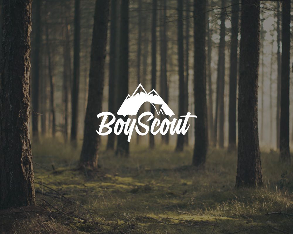 Логотип для сайта интернет-магазина BOY SCOUT - дизайнер BlackBread