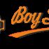 Логотип для сайта интернет-магазина BOY SCOUT - дизайнер Restavr