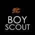 Логотип для сайта интернет-магазина BOY SCOUT - дизайнер serzhkorn