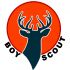 Логотип для сайта интернет-магазина BOY SCOUT - дизайнер aix23