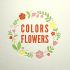 Colors & Flowers Логотип и фирменный стиль - дизайнер IRISKA