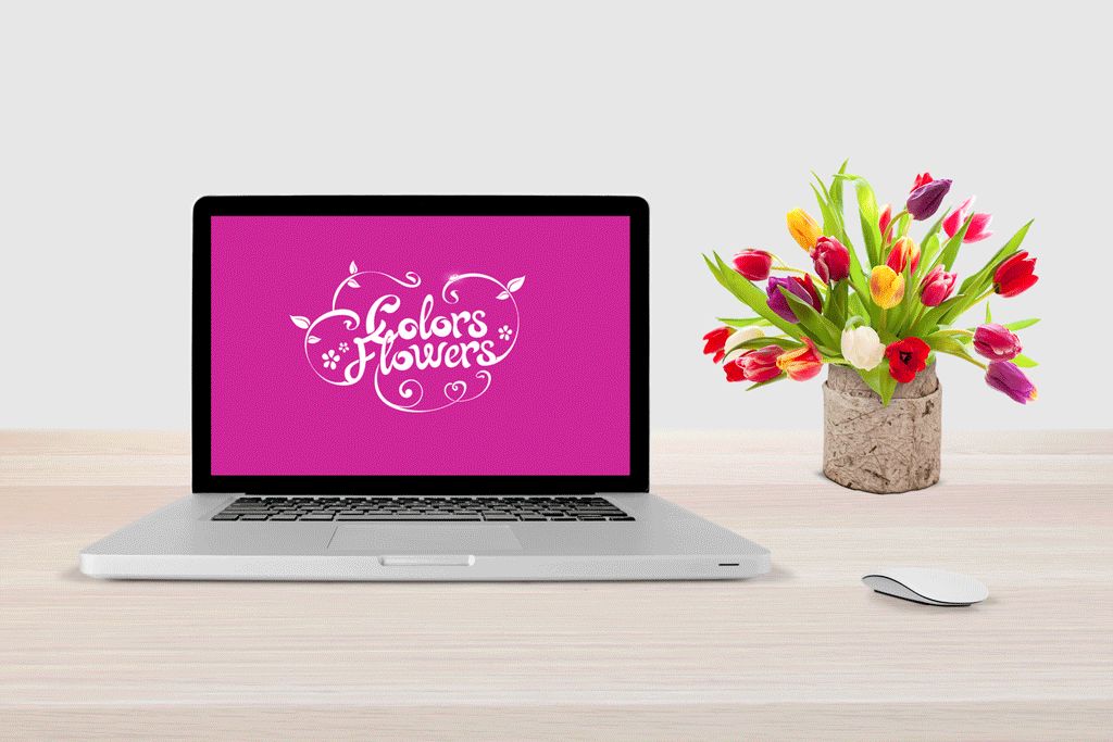 Colors & Flowers Логотип и фирменный стиль - дизайнер De_Orange