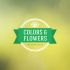 Colors & Flowers Логотип и фирменный стиль - дизайнер TVdesign