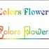 Colors & Flowers Логотип и фирменный стиль - дизайнер jeniulka