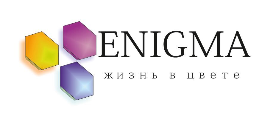 Логотип и фирмстиль для Enigma - дизайнер inaverage