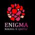 Логотип и фирмстиль для Enigma - дизайнер inaverage