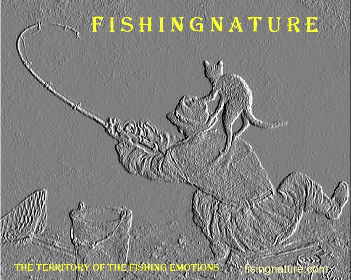 Лого он-лайн фотожурнала о рыболовстве и природе - дизайнер tajmudin