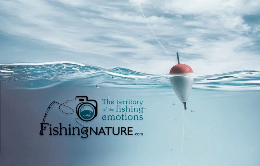 Лого он-лайн фотожурнала о рыболовстве и природе - дизайнер spirina