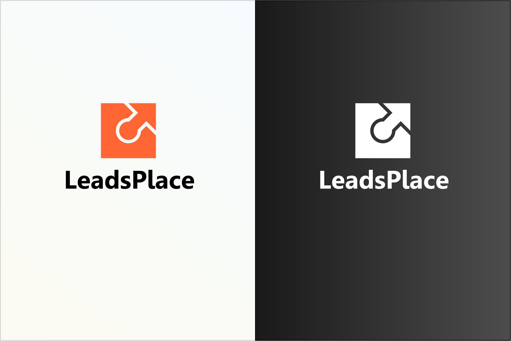 leadsplace.com - логотип - дизайнер V_V