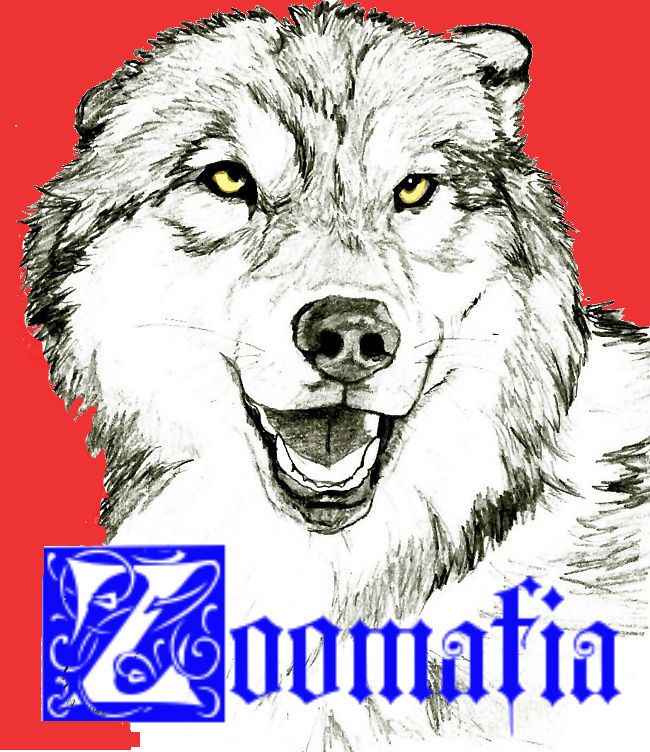 Логотип для интернет магазина зоотоваров - дизайнер Mimimko