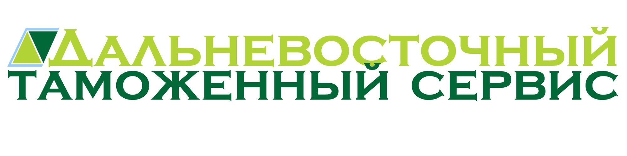Логотип знак фирменные цвета для компании ДВТС   - дизайнер vanakim