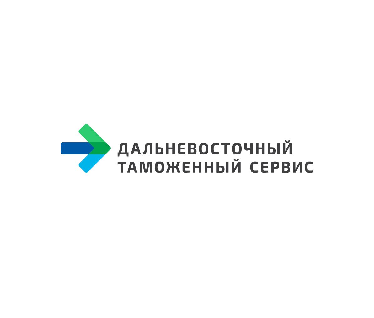 Логотип знак фирменные цвета для компании ДВТС   - дизайнер stanislav-vir