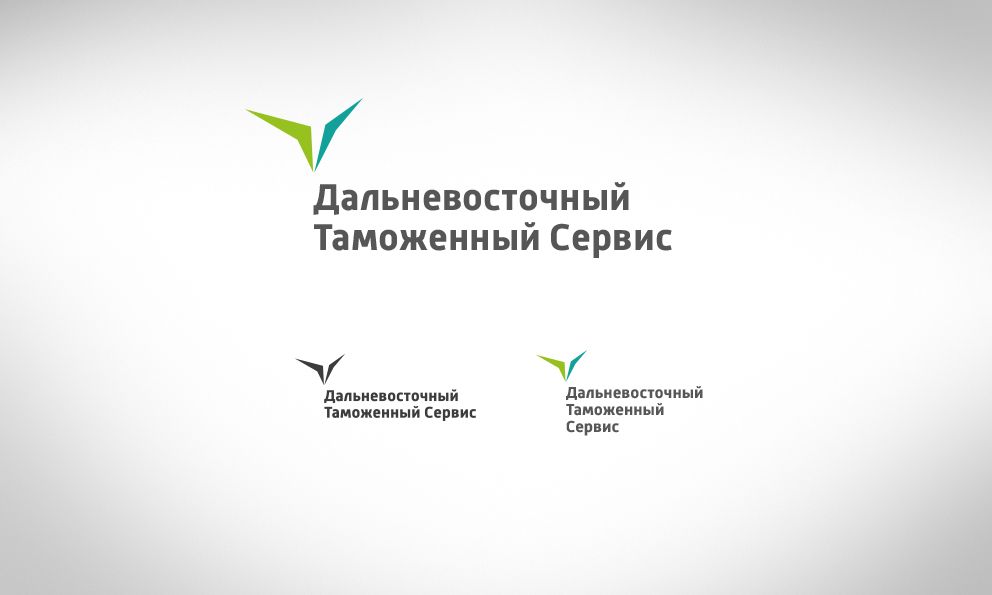 Логотип знак фирменные цвета для компании ДВТС   - дизайнер Dizkoner