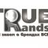 Фирменный стиль для интернет-магазина TrueBrands - дизайнер bess13