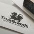 Фирменный стиль для интернет-магазина TrueBrands - дизайнер zhutol