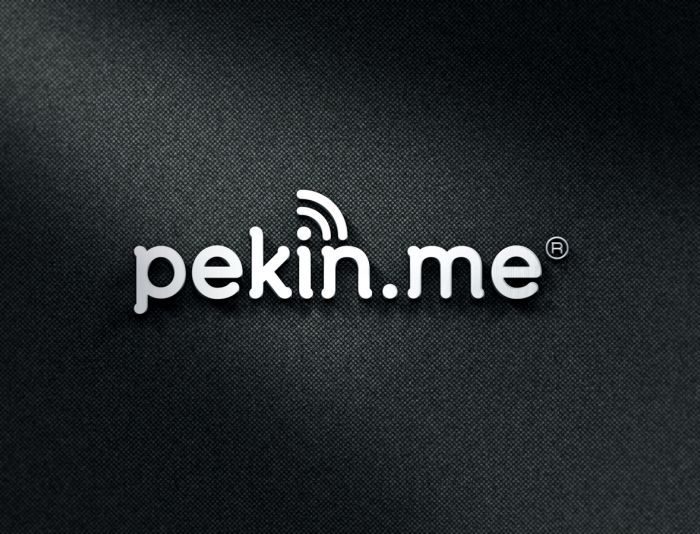 Логотип для компании pekin.me - дизайнер Grotesq_Art