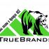 Фирменный стиль для интернет-магазина TrueBrands - дизайнер lilu