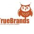 Фирменный стиль для интернет-магазина TrueBrands - дизайнер gagda82