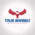 Фирменный стиль для интернет-магазина TrueBrands - дизайнер Erzh2n