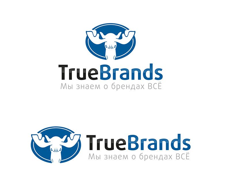 Фирменный стиль для интернет-магазина TrueBrands - дизайнер repmil