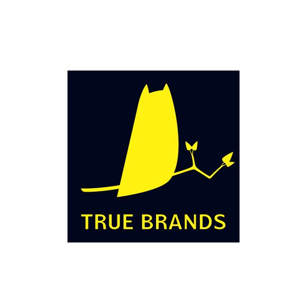 Фирменный стиль для интернет-магазина TrueBrands - дизайнер Mirrad