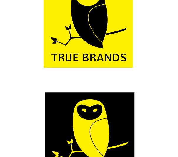 Фирменный стиль для интернет-магазина TrueBrands - дизайнер Mirrad