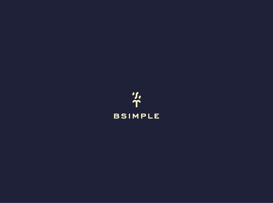 Лого и фирменный стиль для агентства bSimple - дизайнер GraWorks
