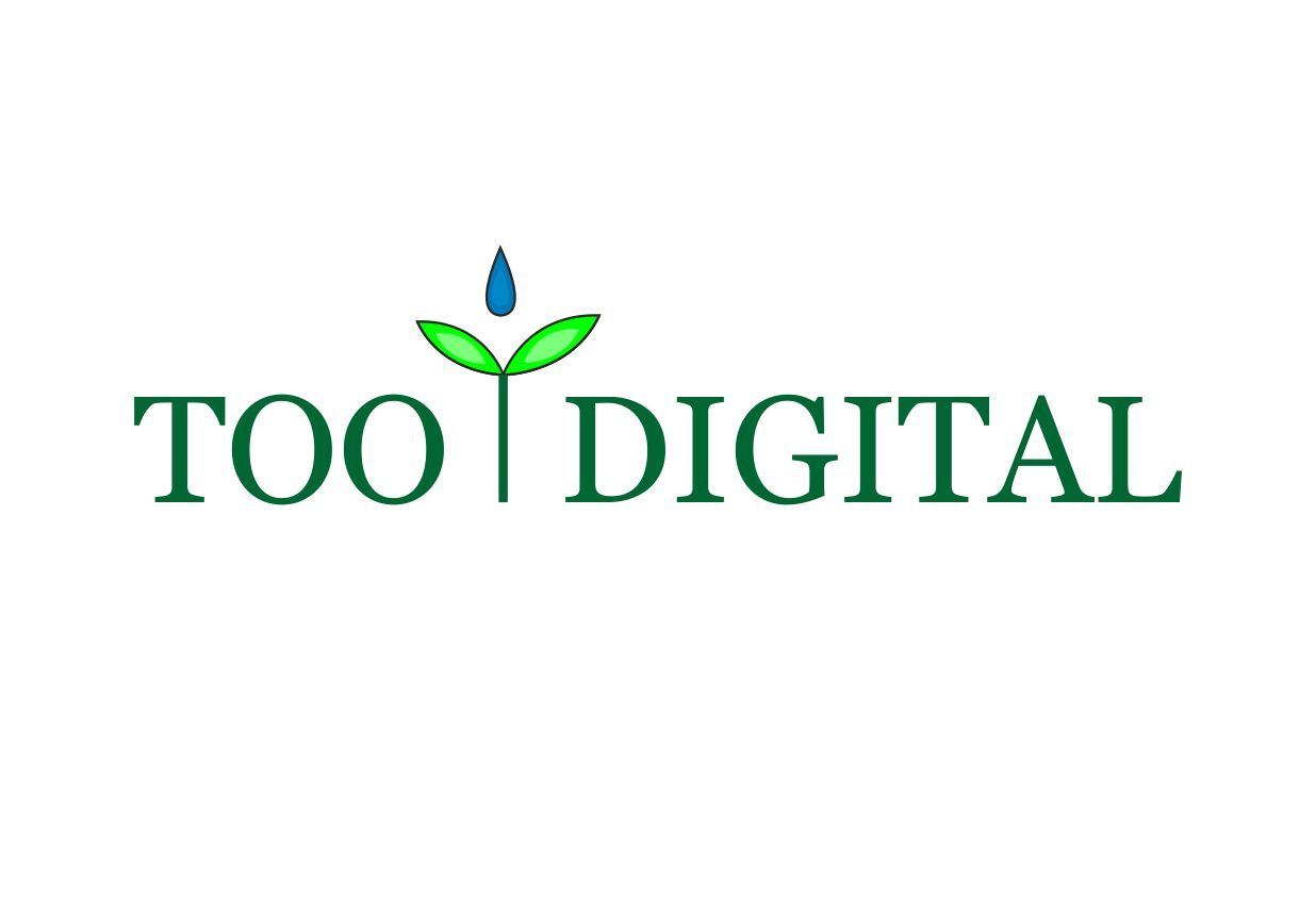 Логотип студии продвижения сайтов toodigital.ru - дизайнер yuszafar