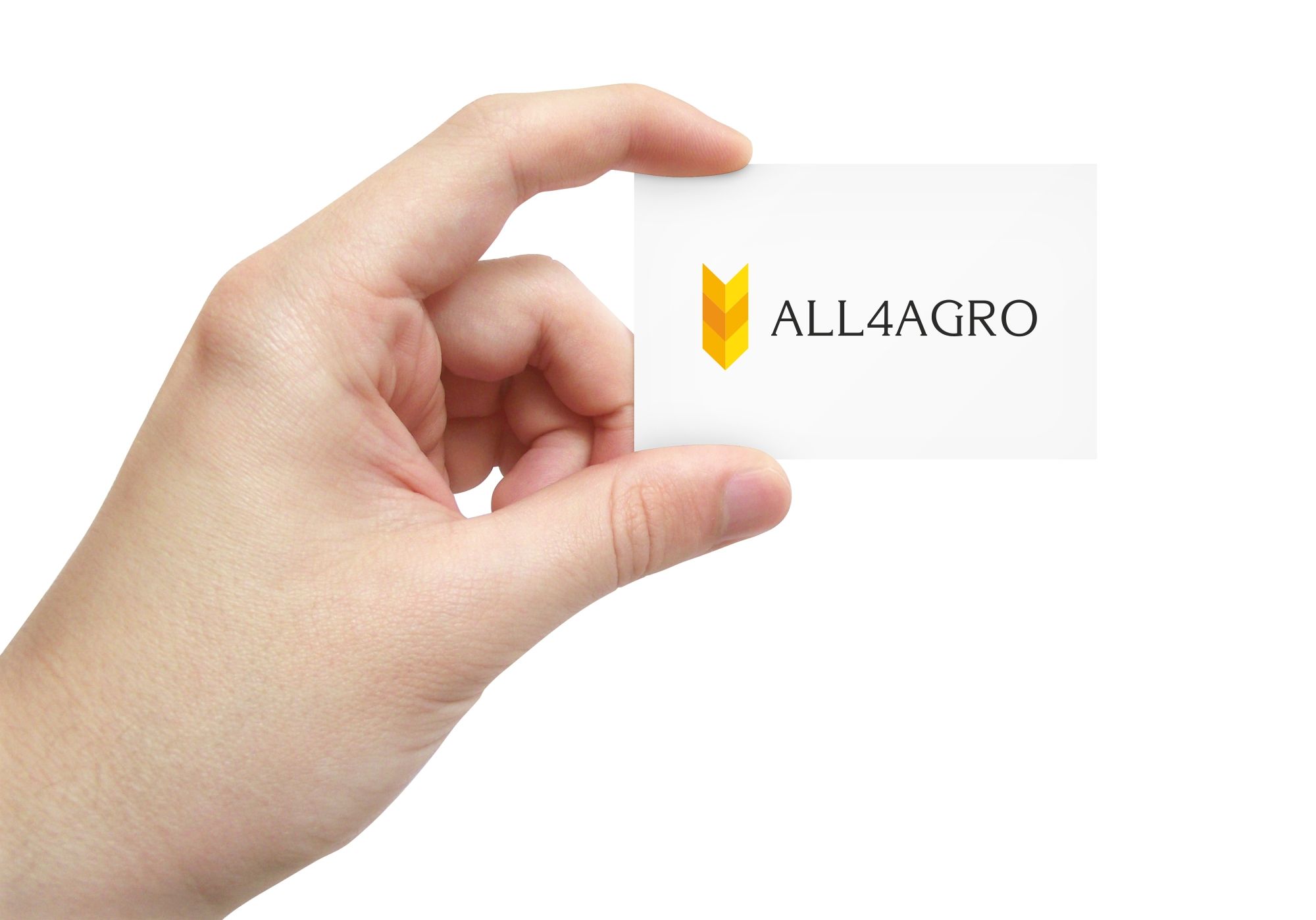 Создание логотипа для интернет-магазина - дизайнер FAGA