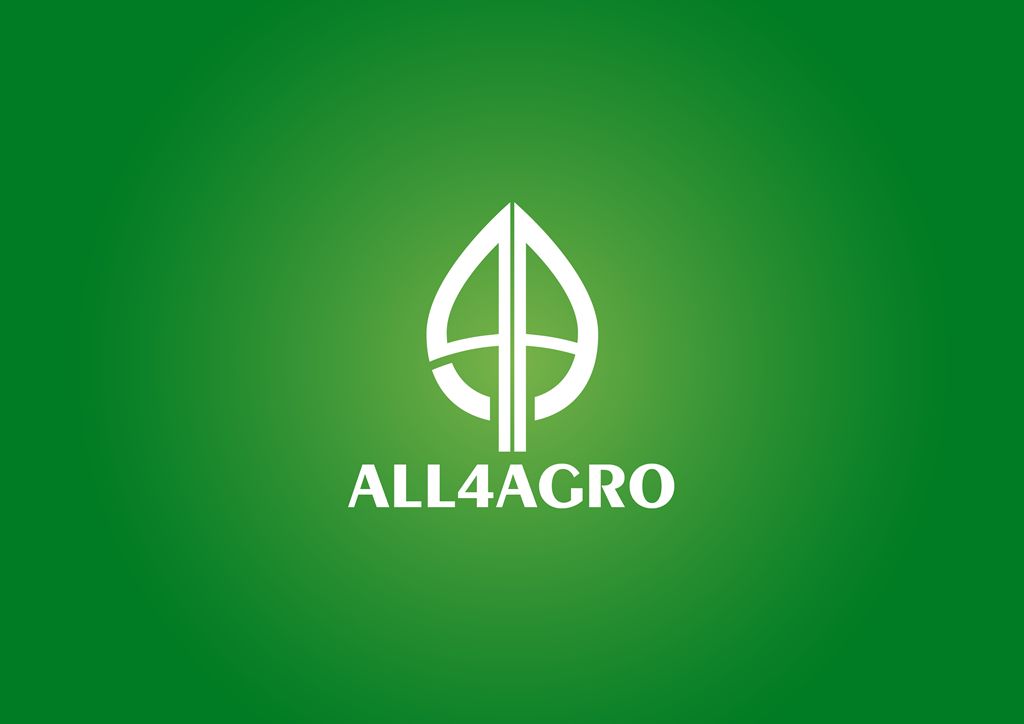 Создание логотипа для интернет-магазина - дизайнер Krupicki