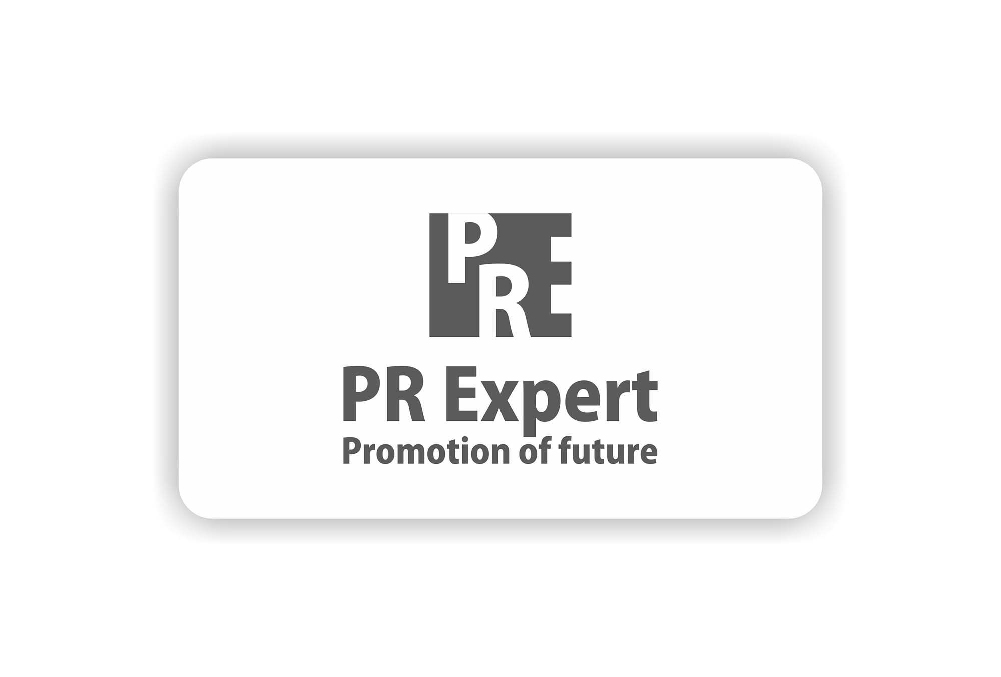Логотип для компании PR Expert - дизайнер AllaGold